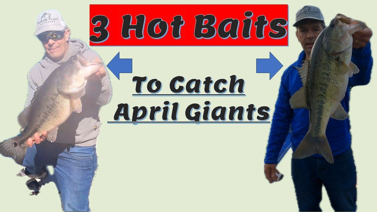 3 HOT!! Baits to Catch April Giant Bass! Bass Manager The Best Bass
