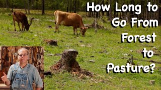 How Long Does it Take to Go from Forest to Pasture? - FHC Q & A