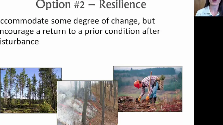 Climate Change Adaptation in Forest Management: Resistance, Resilience, and Transition