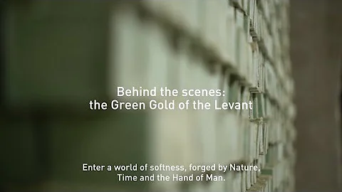 Making of the Traditional Aleppo Soap