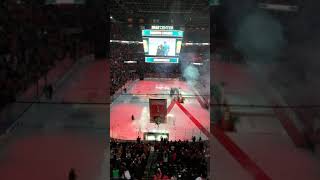 Luongo Number Retirement