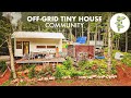 Living offgrid in a tiny house community built by selfreliant couple