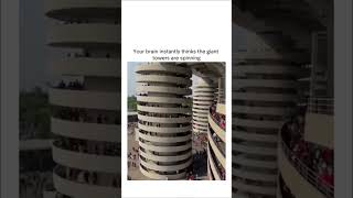 Crazy optical illusion 😳 #shorts #shortsfeed #trending #short #shortvideo