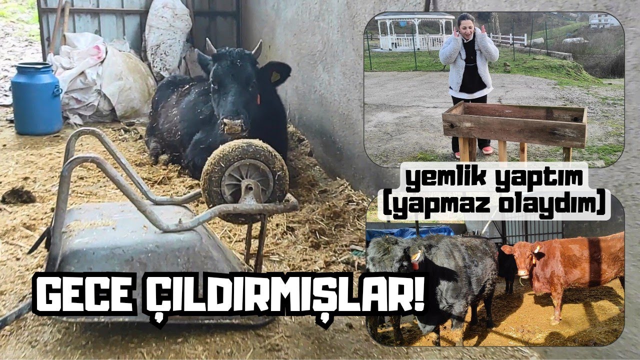 AHIRA NE OLMUŞ BÖYLE ? | 5 Gün Vlog