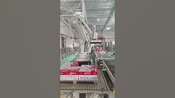 Robotic case palletizing system case palletizing robot