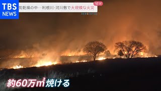 埼玉・利根川の河川敷で火災 通報から約6時間燃え続け60万平方メートル焼ける