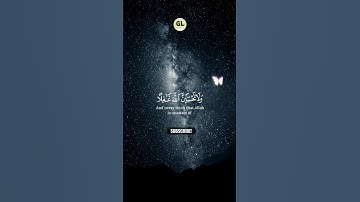 تلاوة خاشعة تزلزل القلوب  |القارئ رعد الكردي #القرآن_الكريم #quran #sorts #تلاوة_خاشعة #حالات
