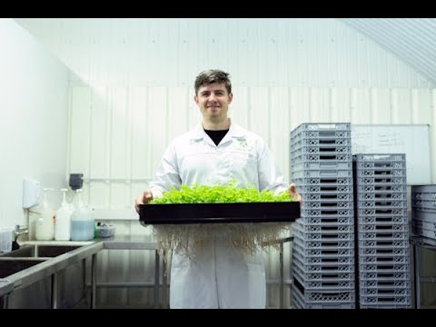 Top Five profitable Agribusiness Ideas ( And Why) - YouTube