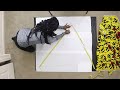 Beginning of video