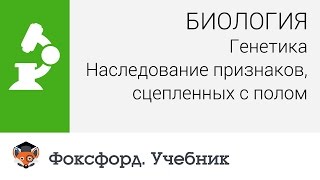 Биология. Генетика: Наследование признаков, сцепленных с полом. Центр онлайн-обучения «Фоксфорд»