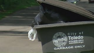 Toledo city officials, union leaders weigh in on new trash pickup service