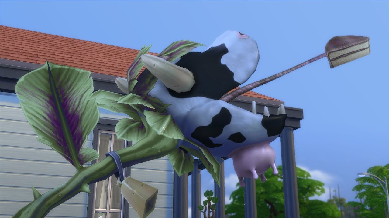 The Sims 4 Cow Plant YouTube