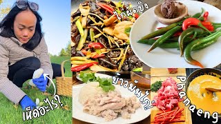 What I Eat In A Week in Denmark | แม่บ้านเดนมาร์ก ทำงานเต็มเวลา เรียนภาษา ทำอาหารเอง | Cooking Vlog