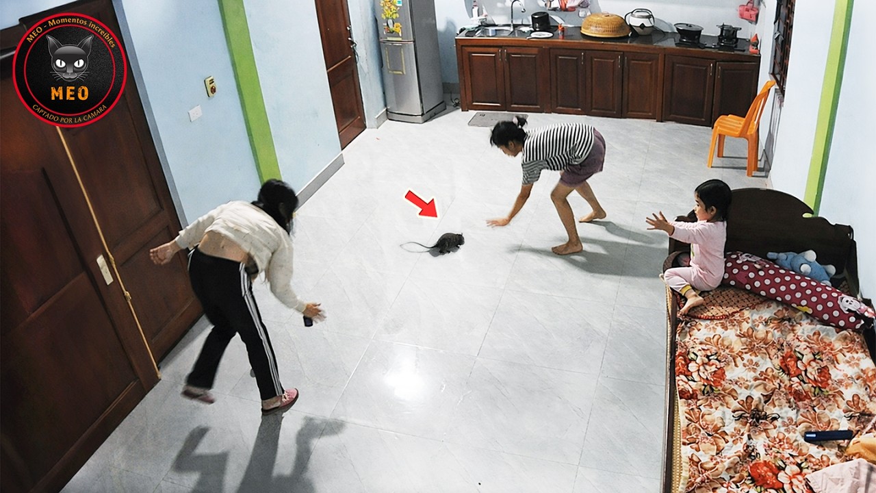 Los errores más estúpidos captados en cámara #31