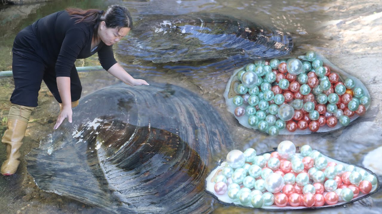 Внутри раковины моллюска лабиринт таят в себе ловушки и загадки, и лишь мудрость и мастерство при...