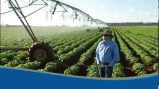 BegaAG -  Agriculture Water Manager, Prowater Specialists