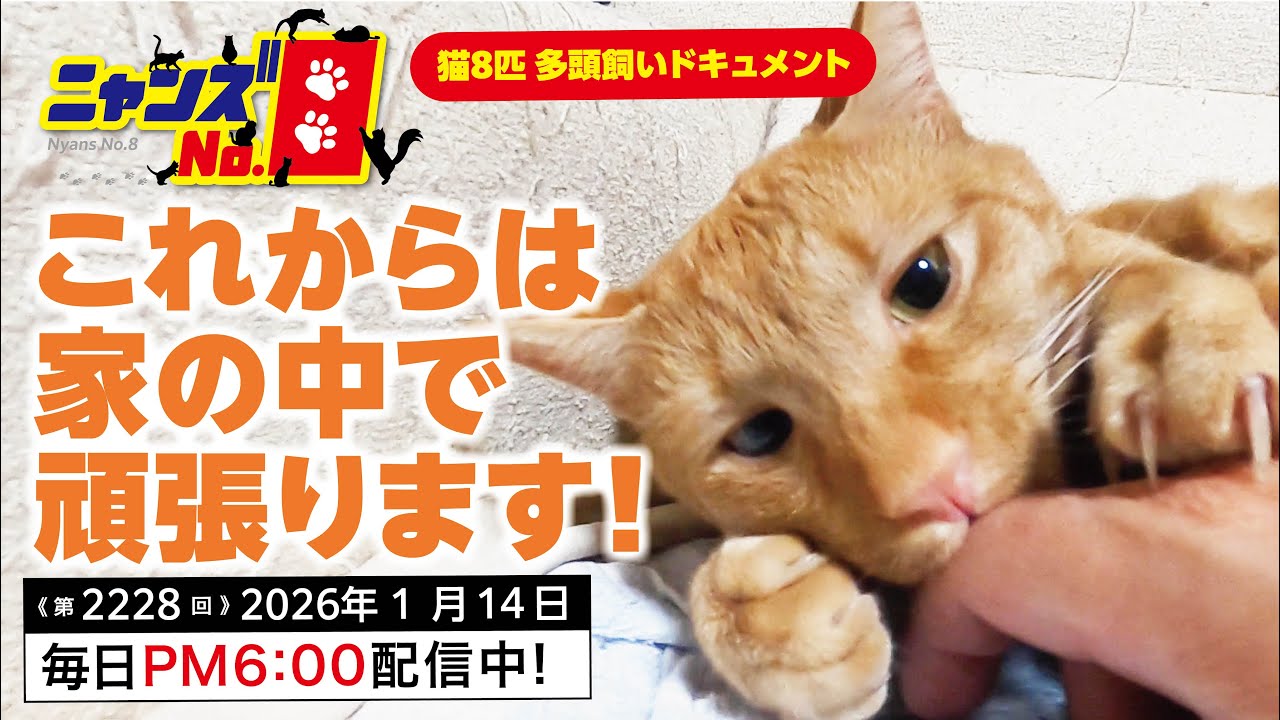 《第2228回》これからは家の中で頑張ります！