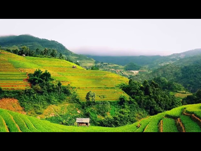 PADA BUKIT PEDESAAN - FRANKY & JANE (Acoustic Version) class=