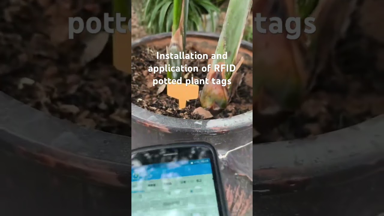 Installation and application of RFID potted plant tags.