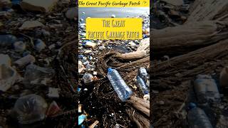 1.8 ट्रिलियन प्लास्टिक का भयानक सच — समुद्र में बना कचरे का आइलैंड #facts #share #garbage