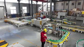 Fully automatic Wood Briquette packing machines