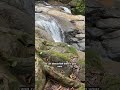 Río Portalón just outside of Quepos, Costa Rica 💦🌳