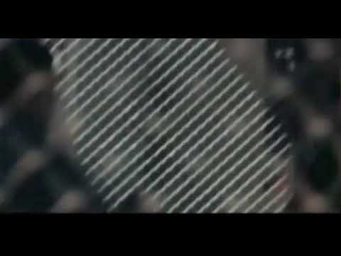 best-fight-box-office-movie