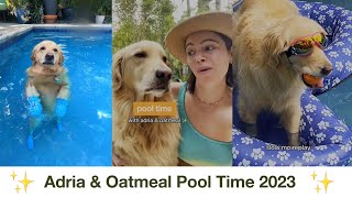 Adria and Oatmeal Pool Time Shorts Compilation! Oatmeal the Golden Retriever is a weirdo in the pool