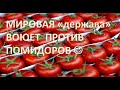 Россия объявила экономическую войну Азербайджану. Ответка будет!