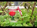 【萍水相逢】迷你瓶中永生紅玫瑰花-小王子的玫瑰