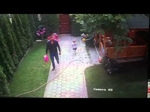 Video: Father Dies Saving His 5-year-old Daughter From Dog Attack