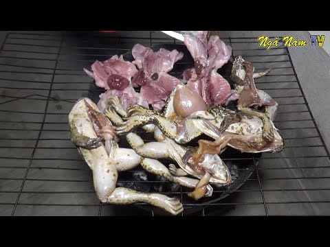Video Lẩu Mắm Cá Trê Khủng 4kg Chuột ếch Nướng Sa Tế Món... - youtube
