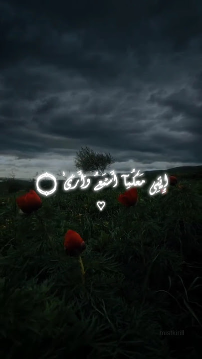 تلاوة من سورة طه بصوت يوسف عثمان. ❤️‍🩹⛓️