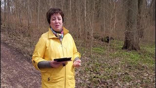 Видео 965. Хлеб на каждый день. Благородство души. (автор: Olga Golikova)