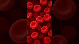 Top 5 foods to increase blood cells |Naturally to improve blood in our body | Psr Nature #blood