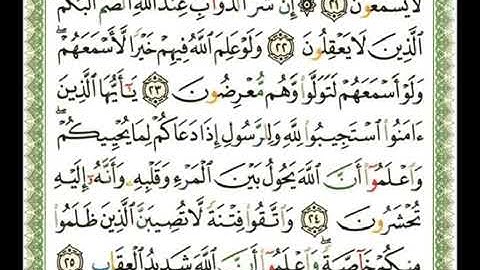 8 -  سورة الأنفال 💚 الشيخ   ناصر القطامي