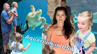 Aquarium in Florida USA. Аквариум и дорогие дома