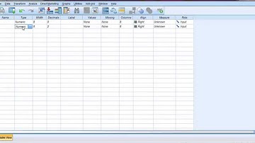 Belajar SPSS, Tutorial pengenalan SPSS