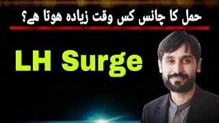 LH Surge | LH Surge when to Conceive | MLT Hub with kamran