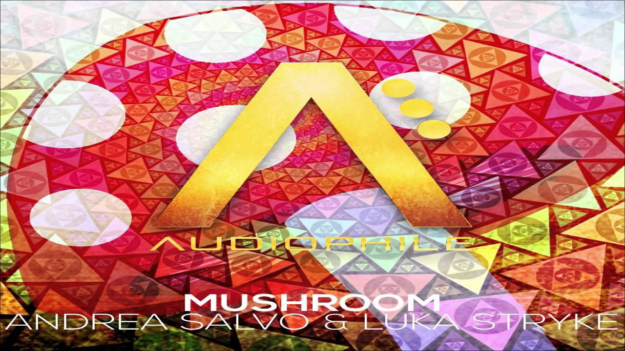 Andrea Salvo & Luka Stryke - Mushroom (OUT NOW)