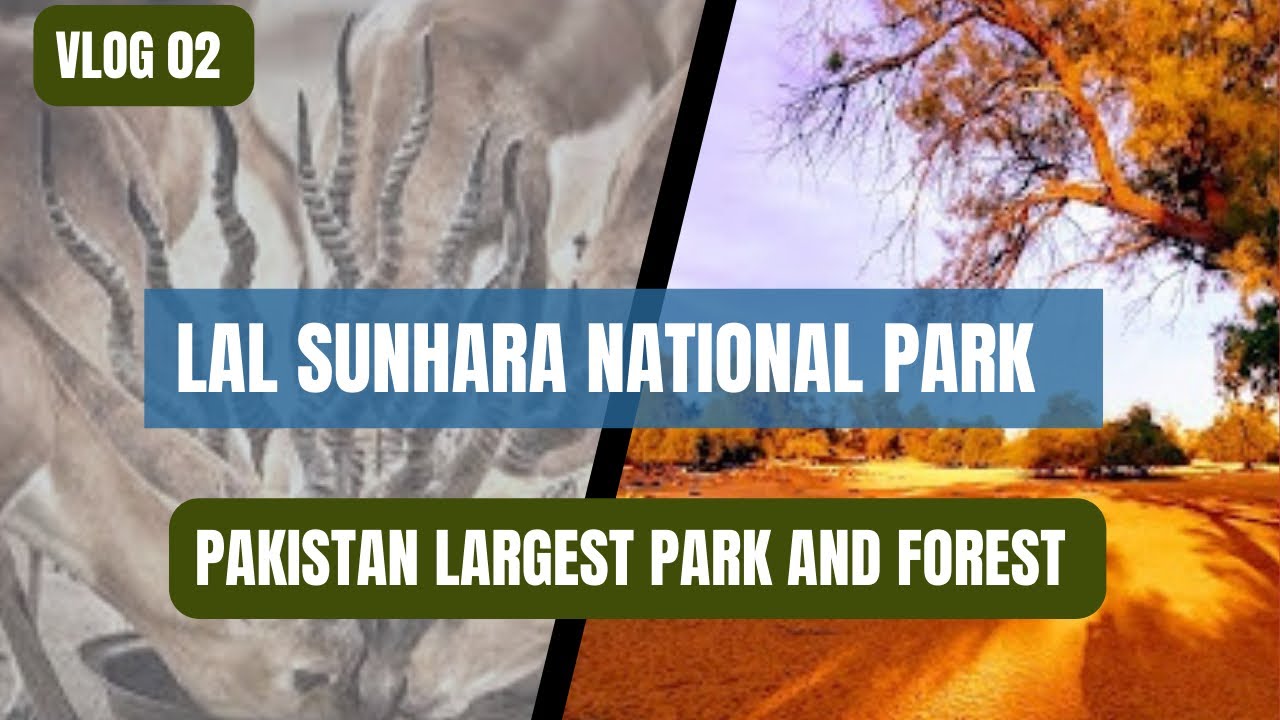 Lal Sunhara National Park|| Bahawalpur || 2nd Video || MWS Vlogs#villagelifevlog #park#bahawalpur