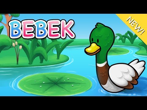 Lagu Anak Indonesia | Bebek