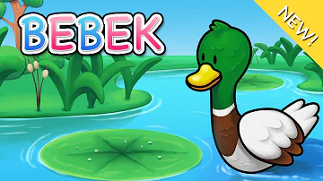 Lagu Anak Indonesia | Bebek