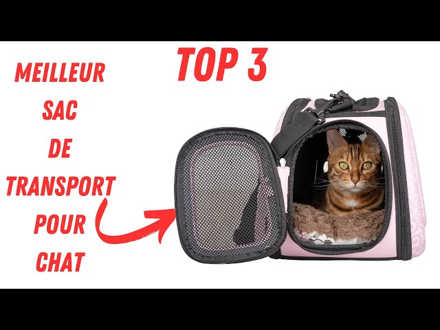 Voici le meilleur Sac de transport pour 2 chats de 2024 !