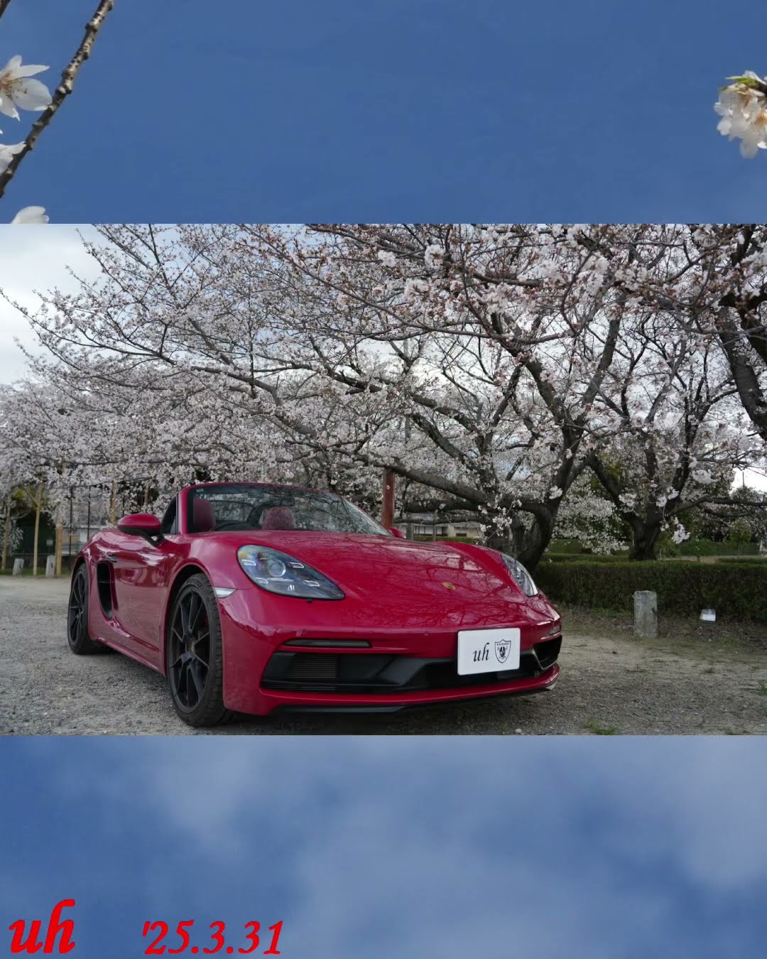 25.03.31 しだれ桜と718ボクスター #Short #桜 #Cherry #しだれ