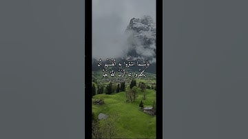 ماتيسر من سورة البقرة #القرآن_الكريم #سورة_البقرة #رمضان
