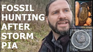 Fossil hunting after storm Pia - Yorkshire Jurassic Coast