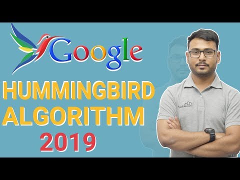 Google Hummingbird | A Complete Guide for Google Algorithm | Google Hummingbird updates