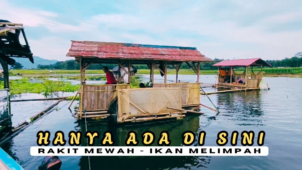 BARU MENEMUKAN !! SPOT KAYA GINI MEWAH IKANYA MELIMPAH | MANCING MANIA