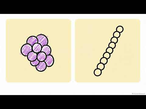Mastering Gram positives
